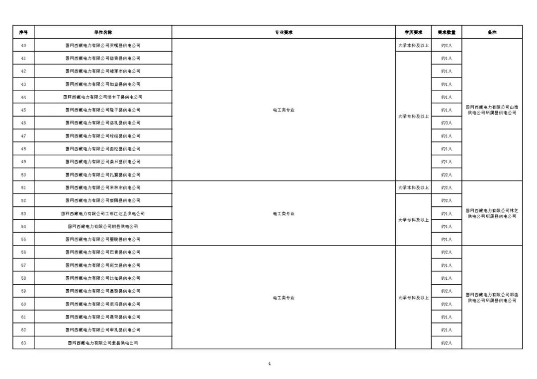 國(guó)網(wǎng)西藏電力有限公司2025年第二批高校畢業(yè)生招聘計(jì)劃_Page4.jpg