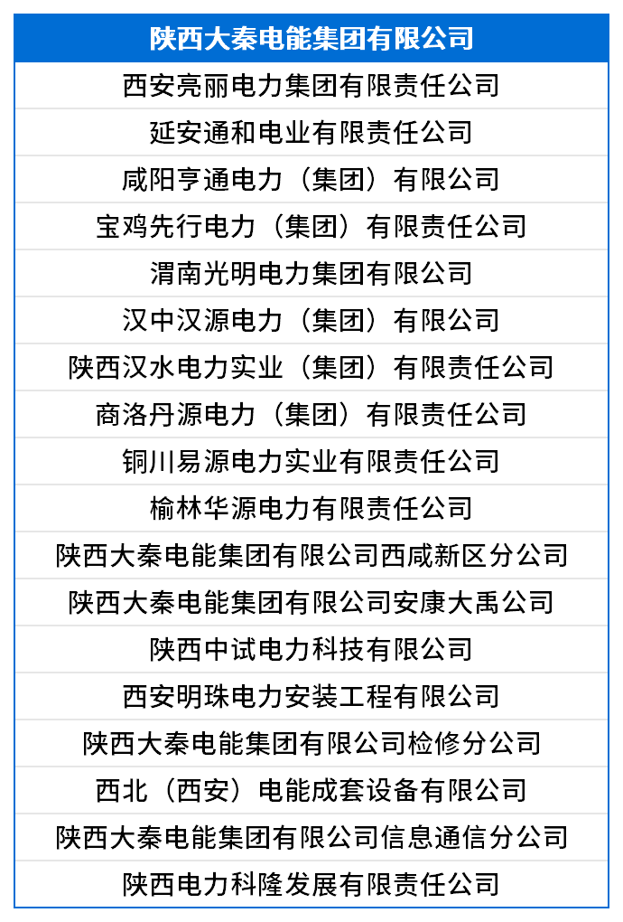 陕西大秦电能集团有限公司.png