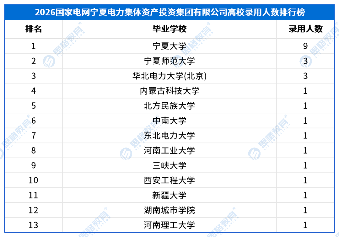 三批产业单位_宁夏电力集体资产投资集团有限公司.png