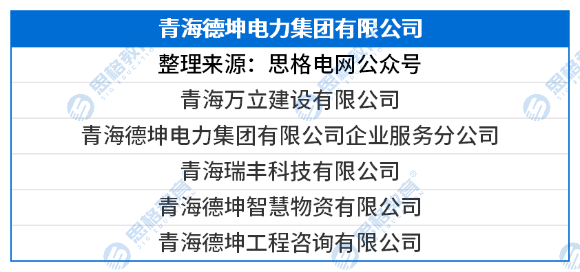 国网三批三产单位汇总_青海德坤电力集团有限公司.png