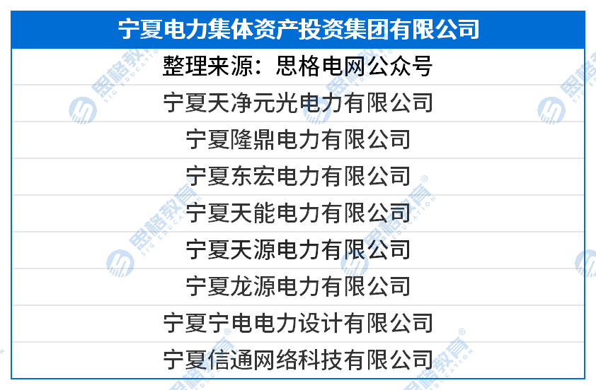 国网三批三产单位汇总_宁夏电力集体资产投资集团有限公司.png