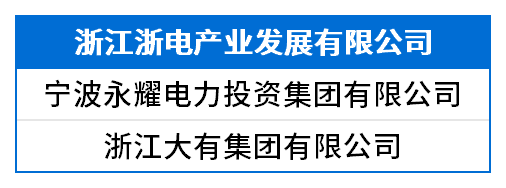 浙江浙电产业发展有限公司.png