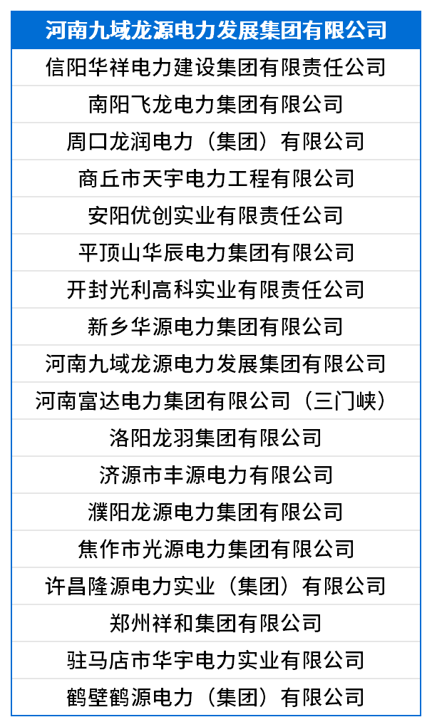 河南九域龙源电力发展集团有限公司.png