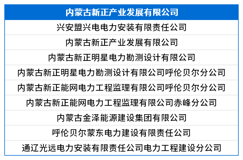 内蒙古新正产业发展有限公司.png