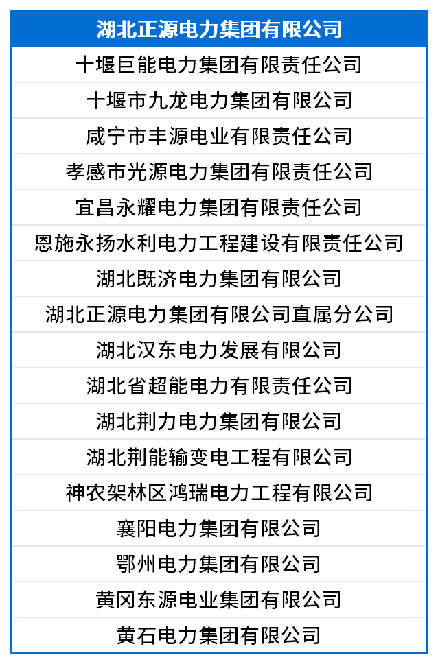 湖北正源电力集团有限公司.png