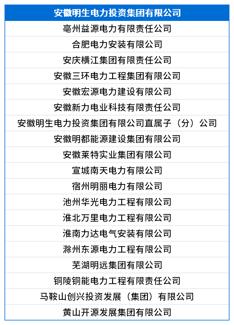 安徽明生电力投资集团有限公司.png
