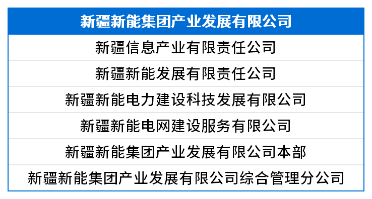 新疆新能集团产业发展有限公司.png