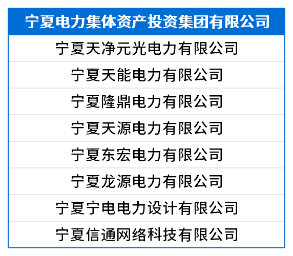 宁夏电力集体资产投资集团有限公司.png