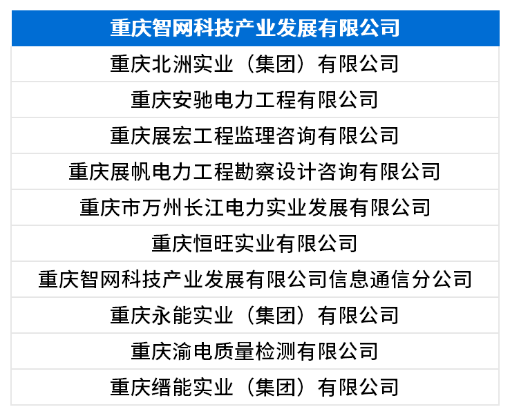 重庆智网科技产业发展有限公司.png